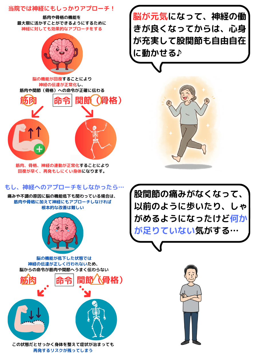 脳の機能が回復すれば神経、骨格、筋肉のポテンシャルが最大限発揮される